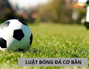 Làm rõ luật bóng đá chuẩn FIFA: Hiểu đúng để yêu bóng đá đúng cách